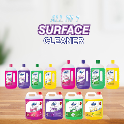 All-in-1 Surface Cleaner